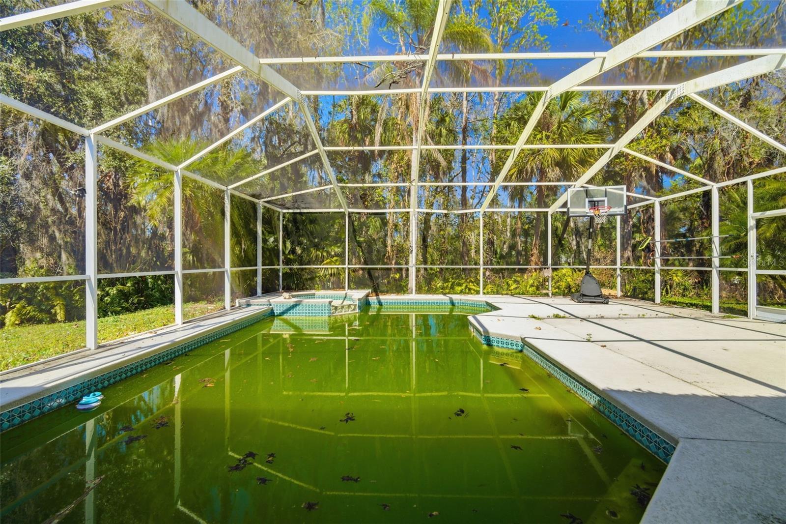 Image 55 of 61 For 28427 Openfield Loop