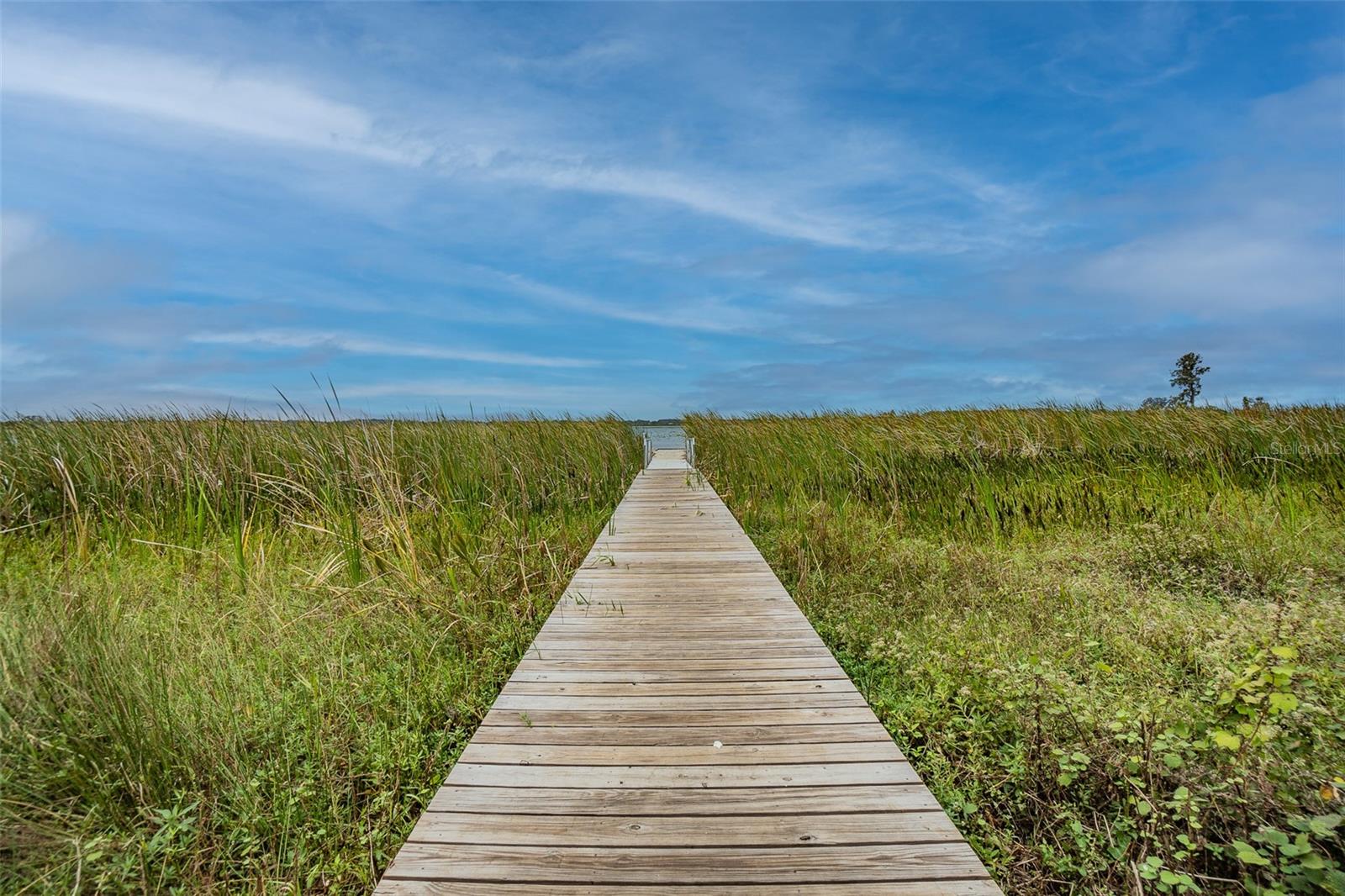 Image 78 of 80 For 31385 Tansy Bend