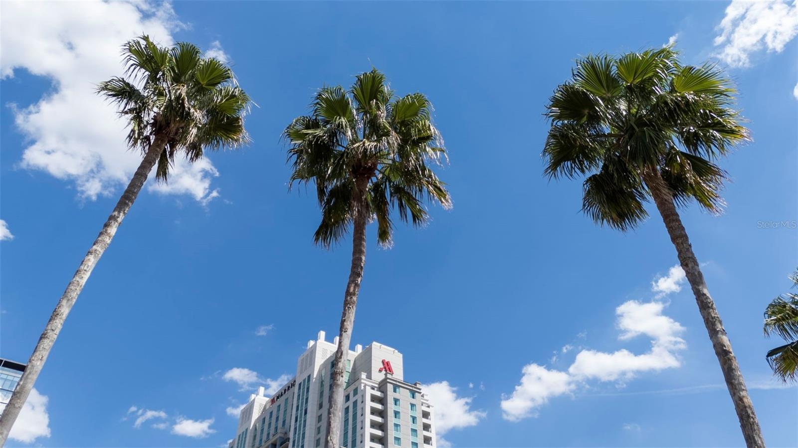 Image 2 of 39 For 700 Harbour Island  238