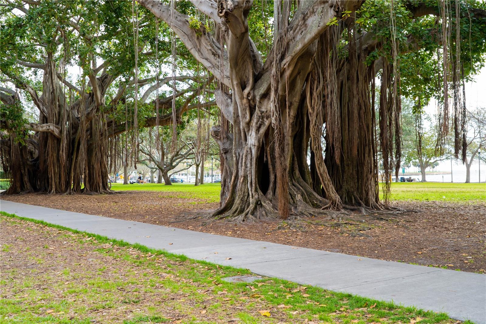 Image 28 of 40 For 316 8th Street S 402