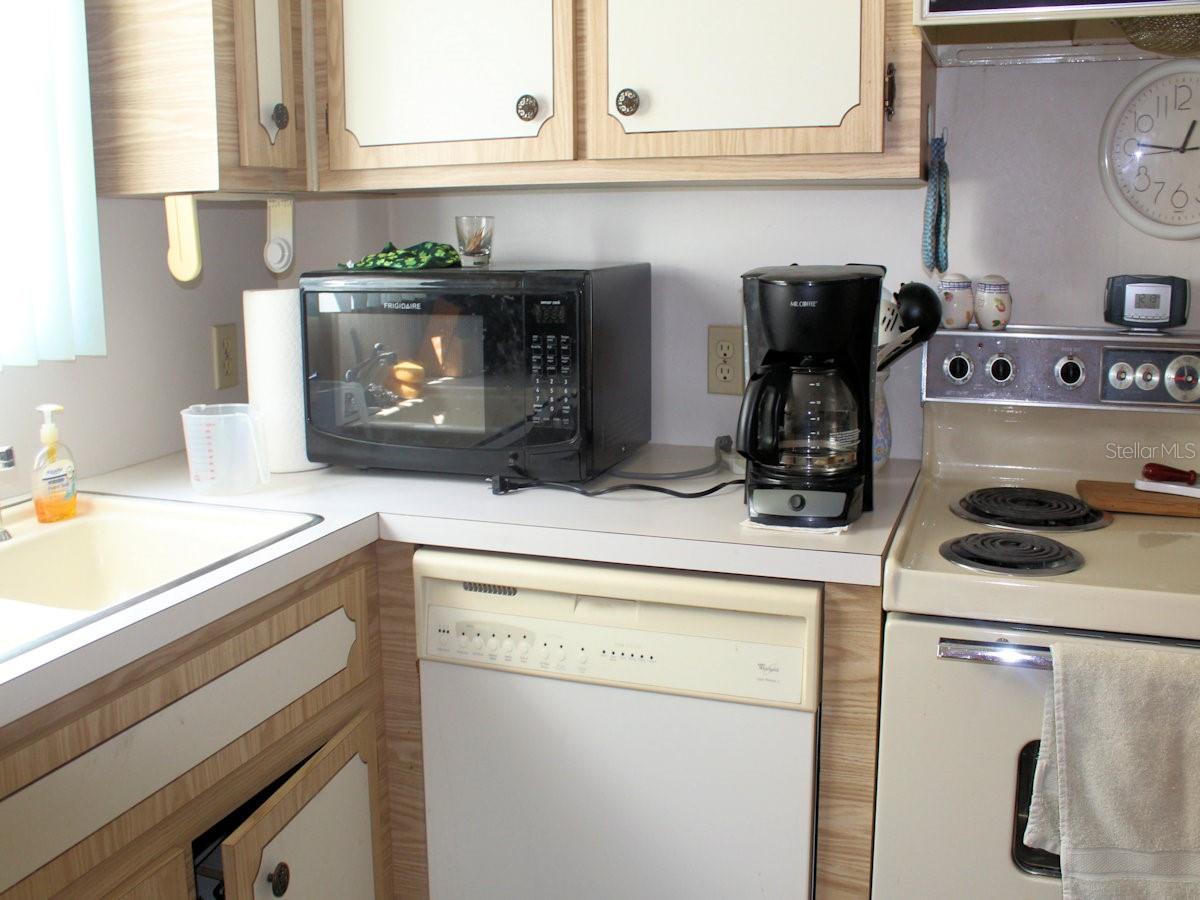 Image 4 of 14 For 2e Pindo Palm Street E