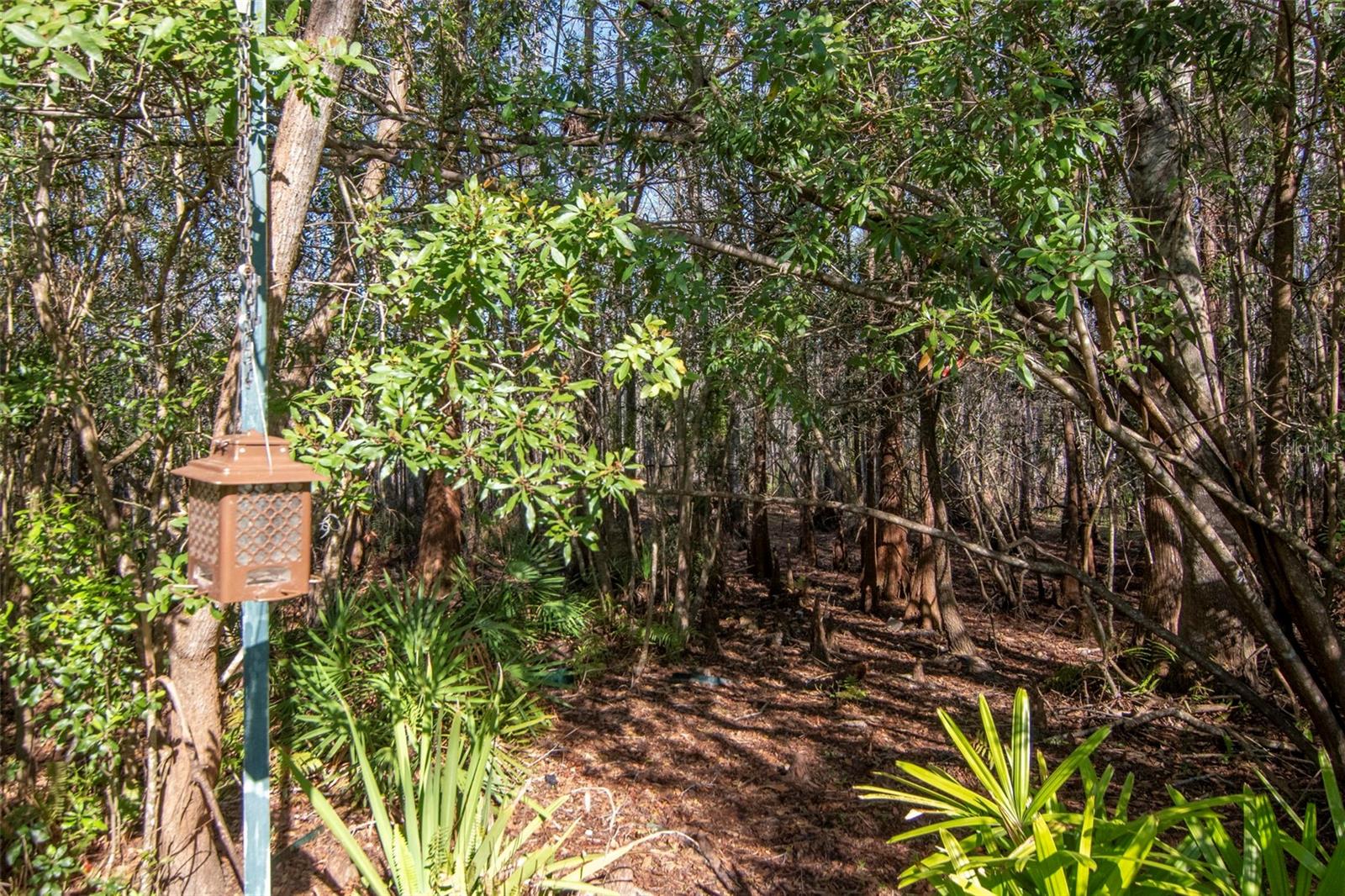 Image 43 of 60 For 8205 Ponkan Road