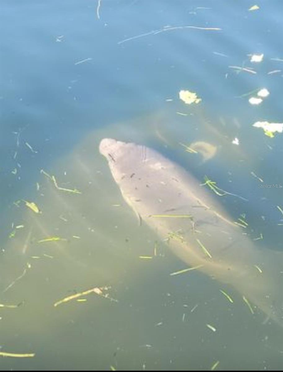 Image 16 of 16 For 773 9th Street A