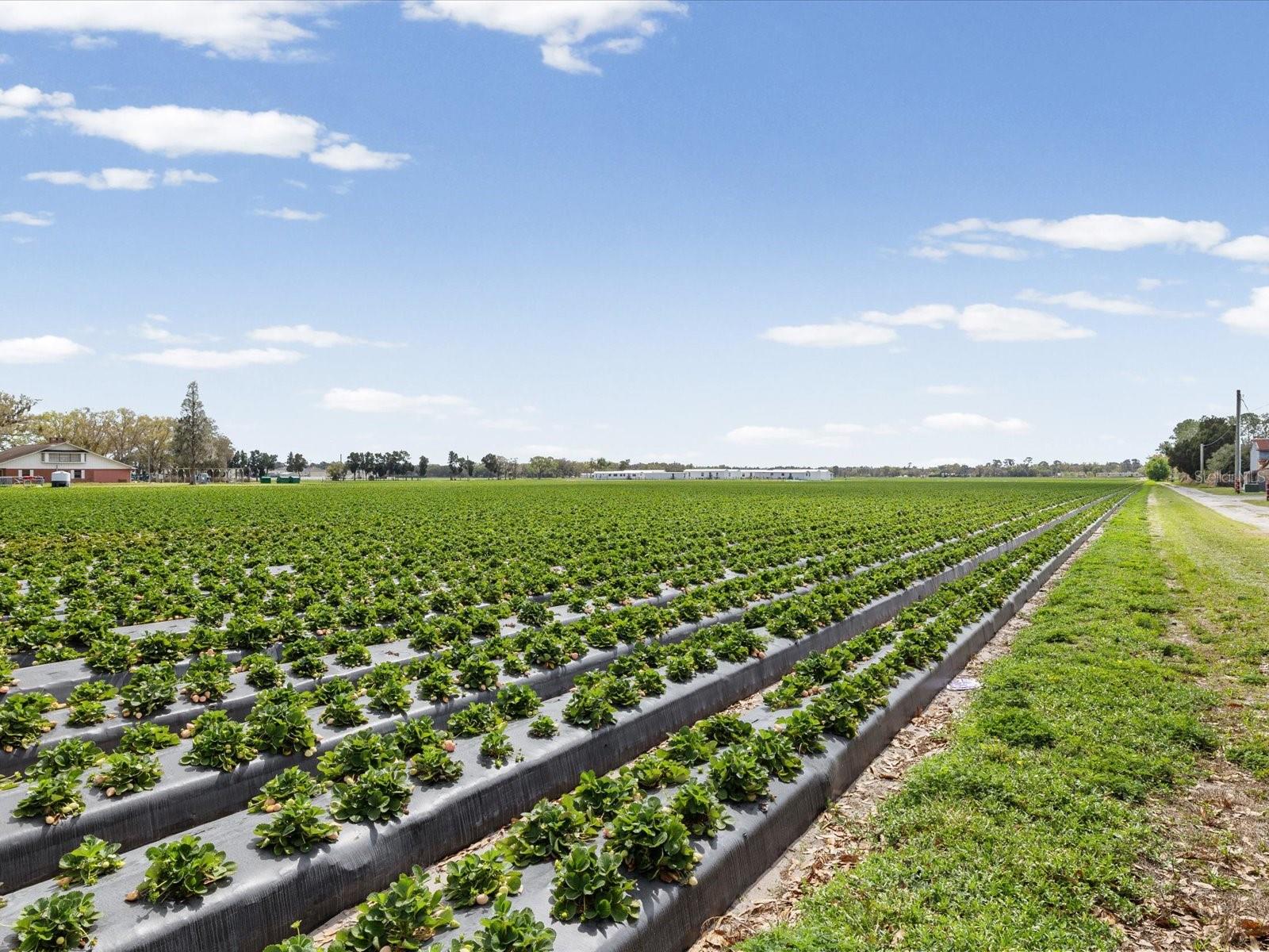 Image 73 of 75 For 3135 Northview Road