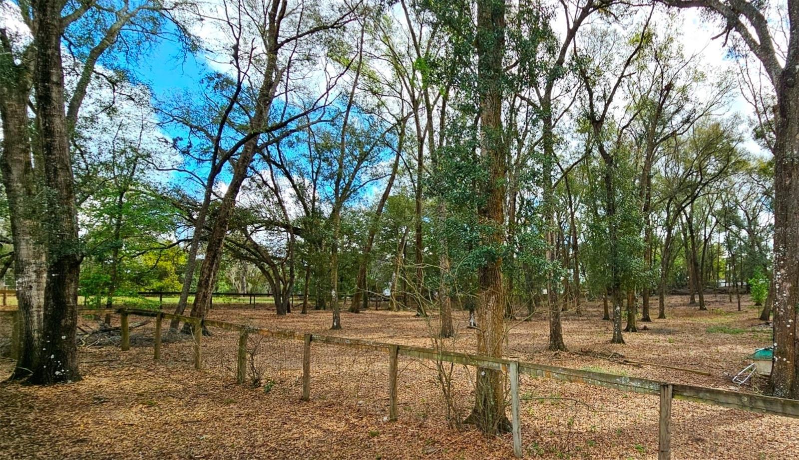 Listing photo id 54 for 37416 Hackney Place