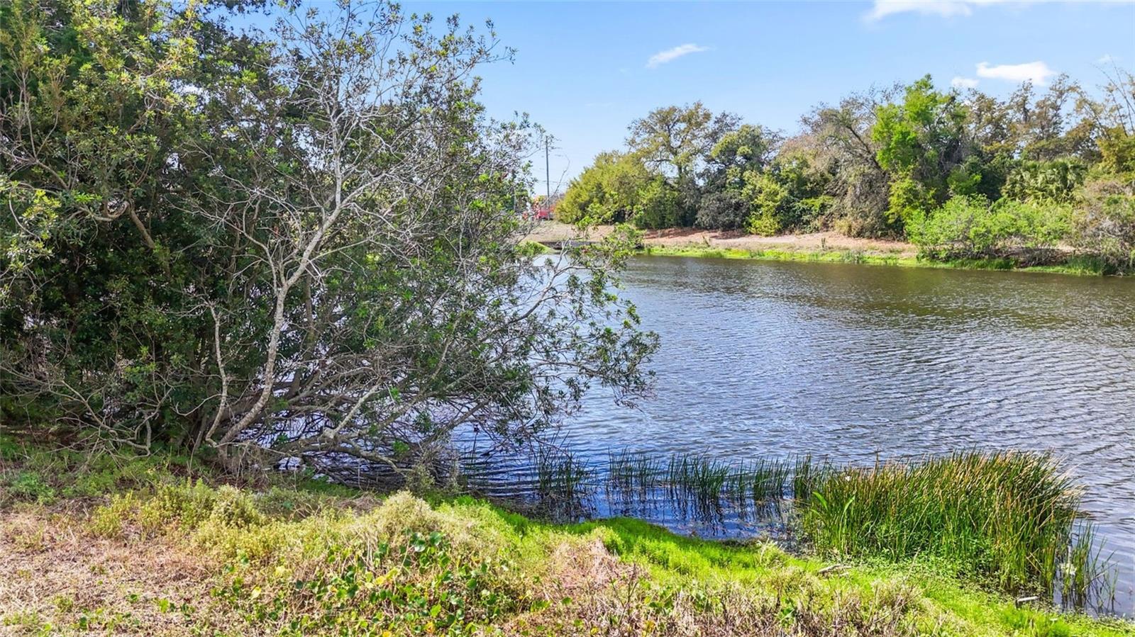 Image 29 of 37 For 1990 Carolina Avenue