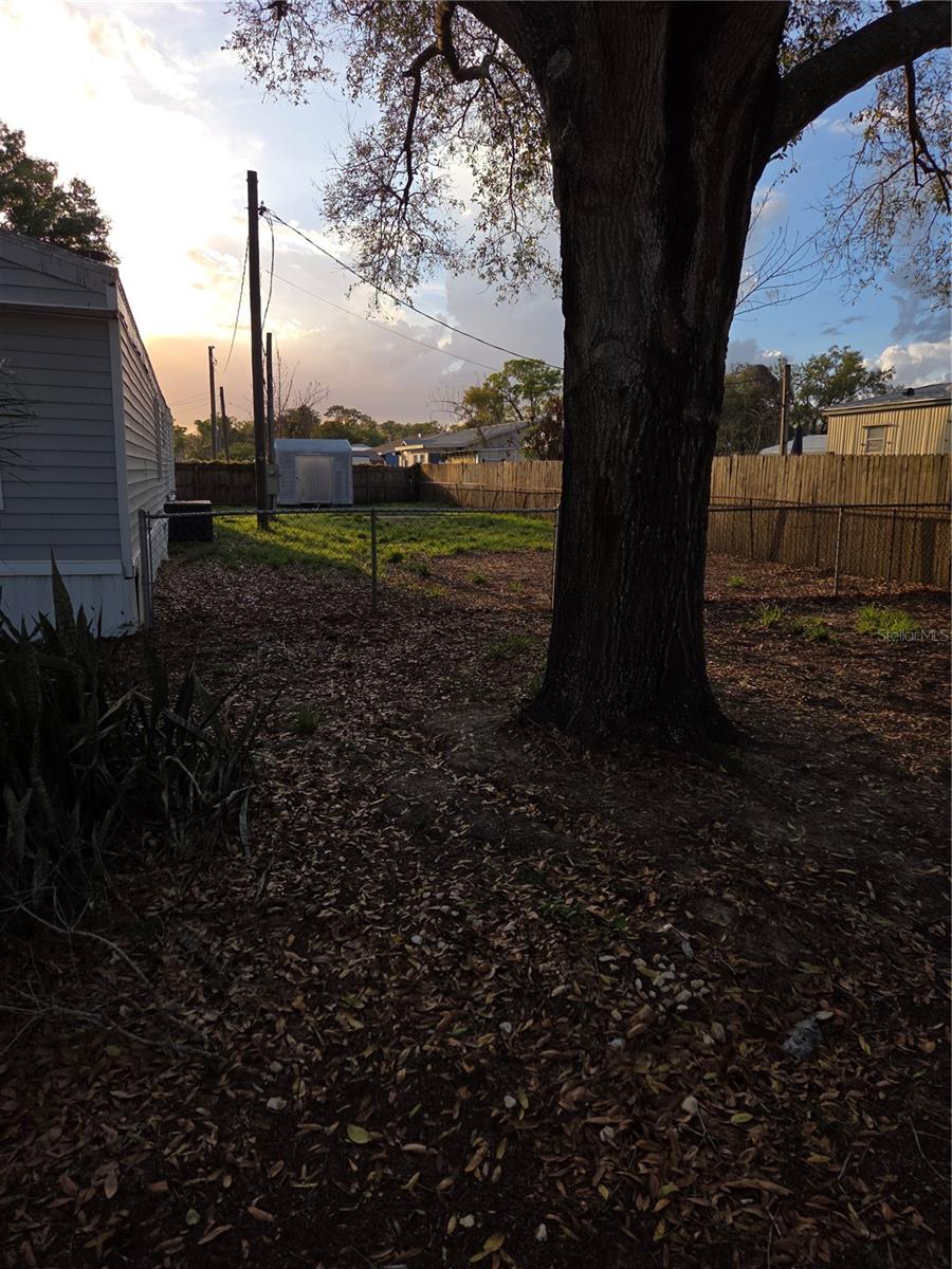 Listing photo id 3 for 920 Brinwood Drive