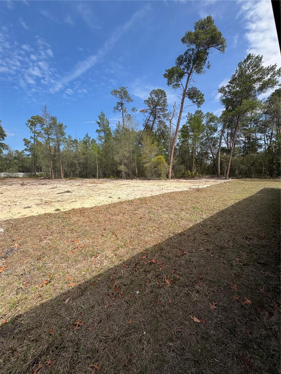 Image 32 of 35 For 8448 Balm Street