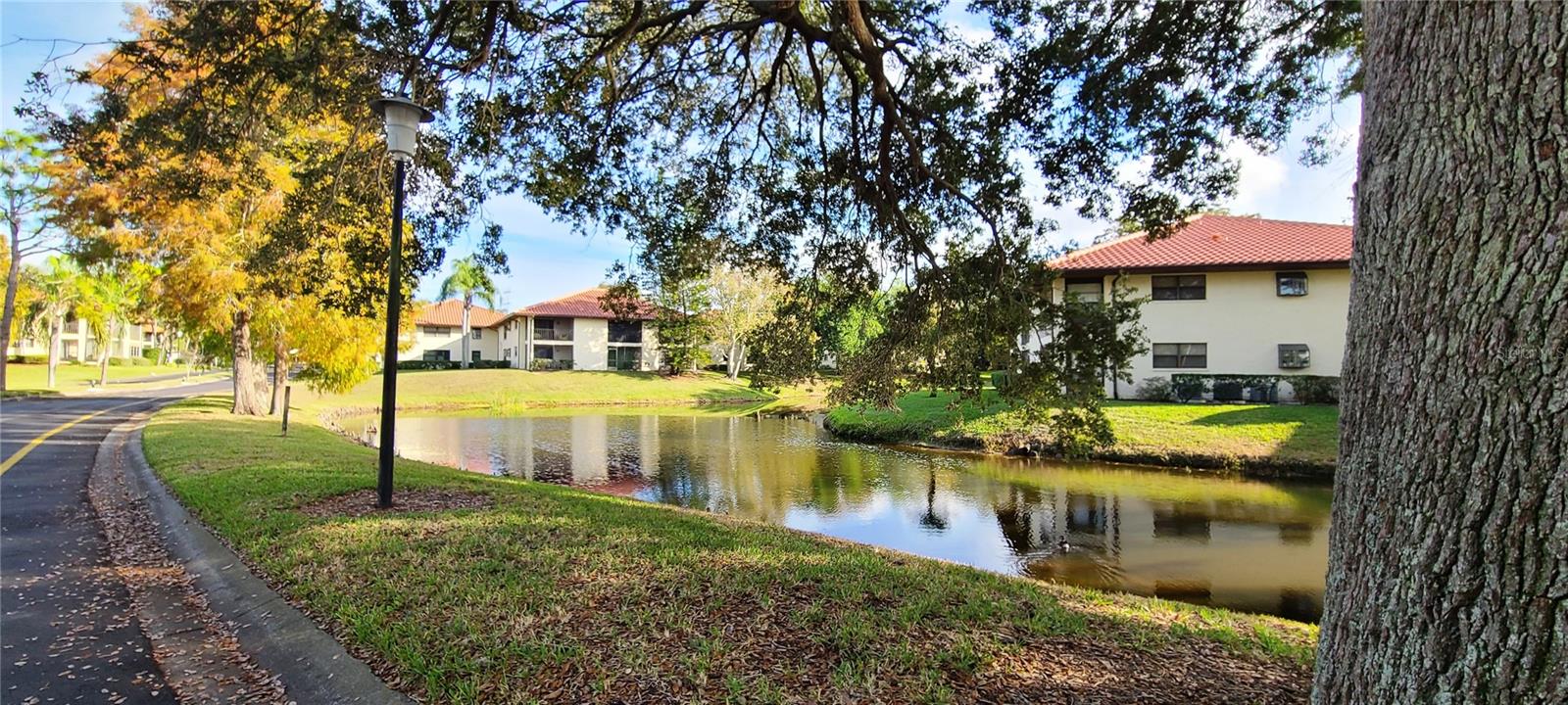 Image 27 of 47 For 2009 Hammock Pine Boulevard 2009