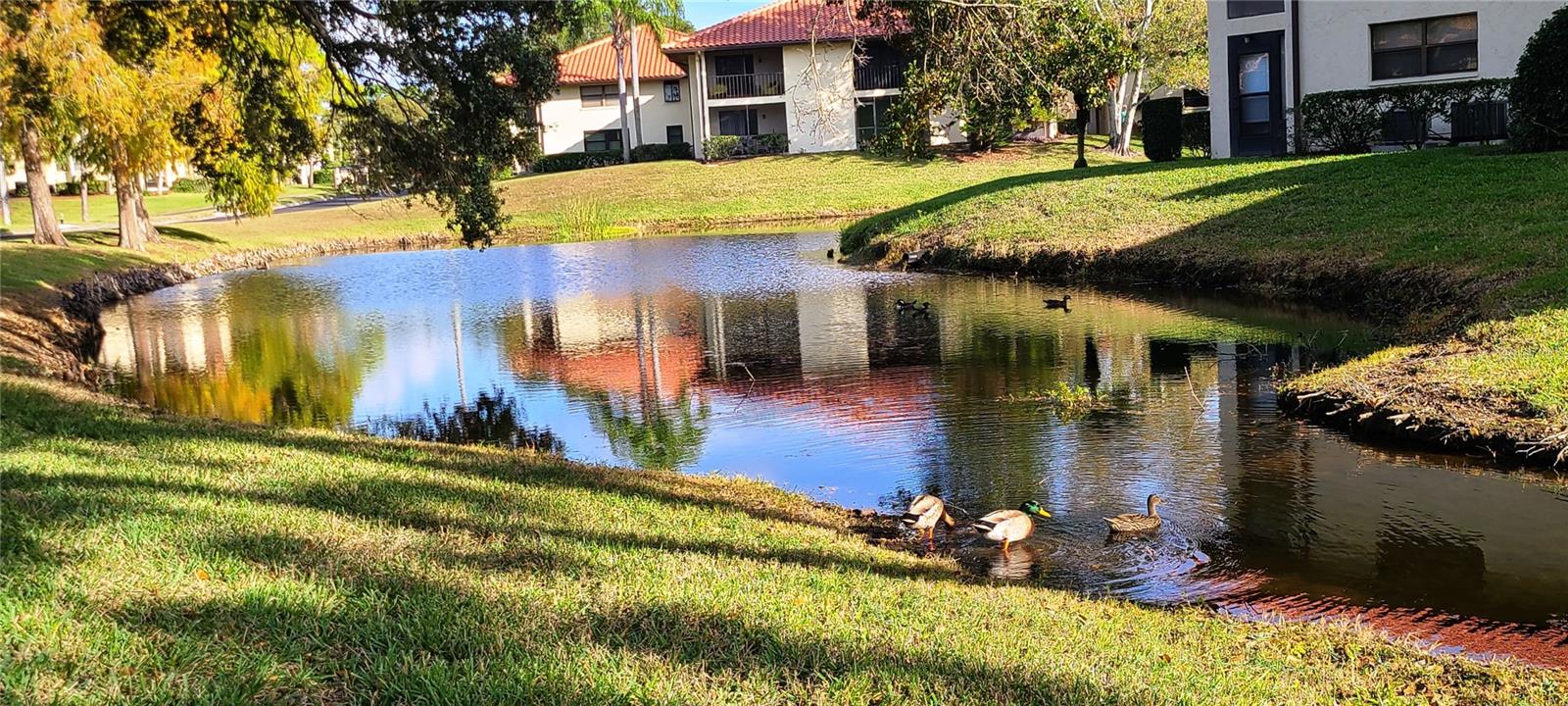 Image 29 of 47 For 2009 Hammock Pine Boulevard 2009