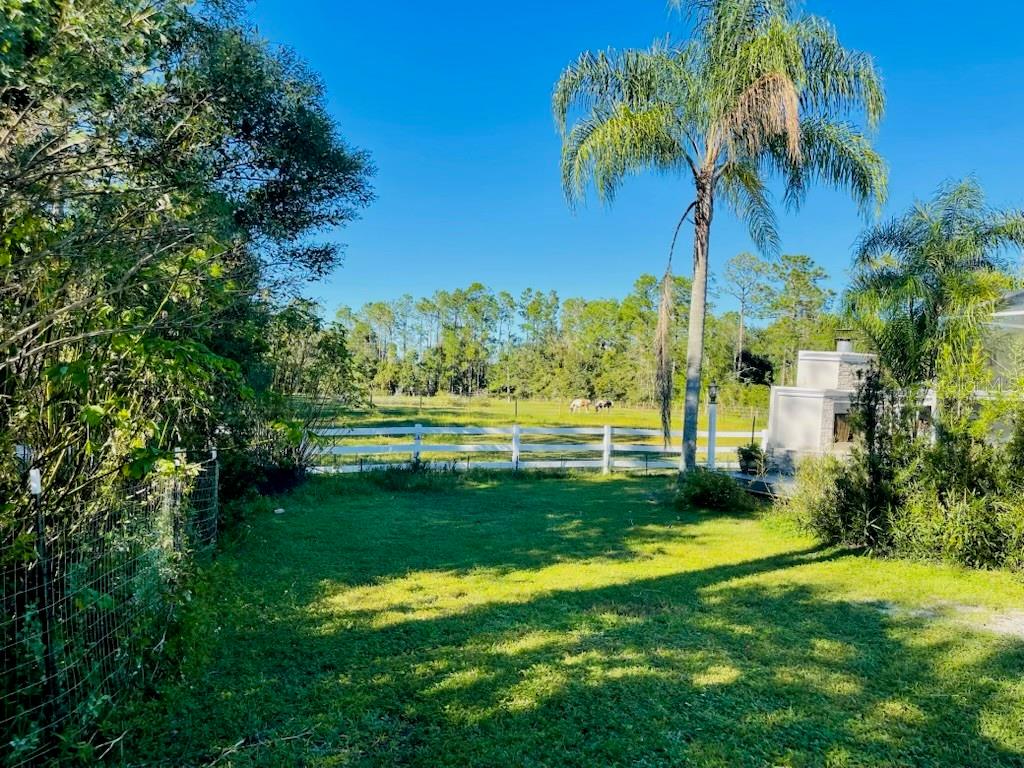 Image 14 of 19 For 3551 Red Barn Lane