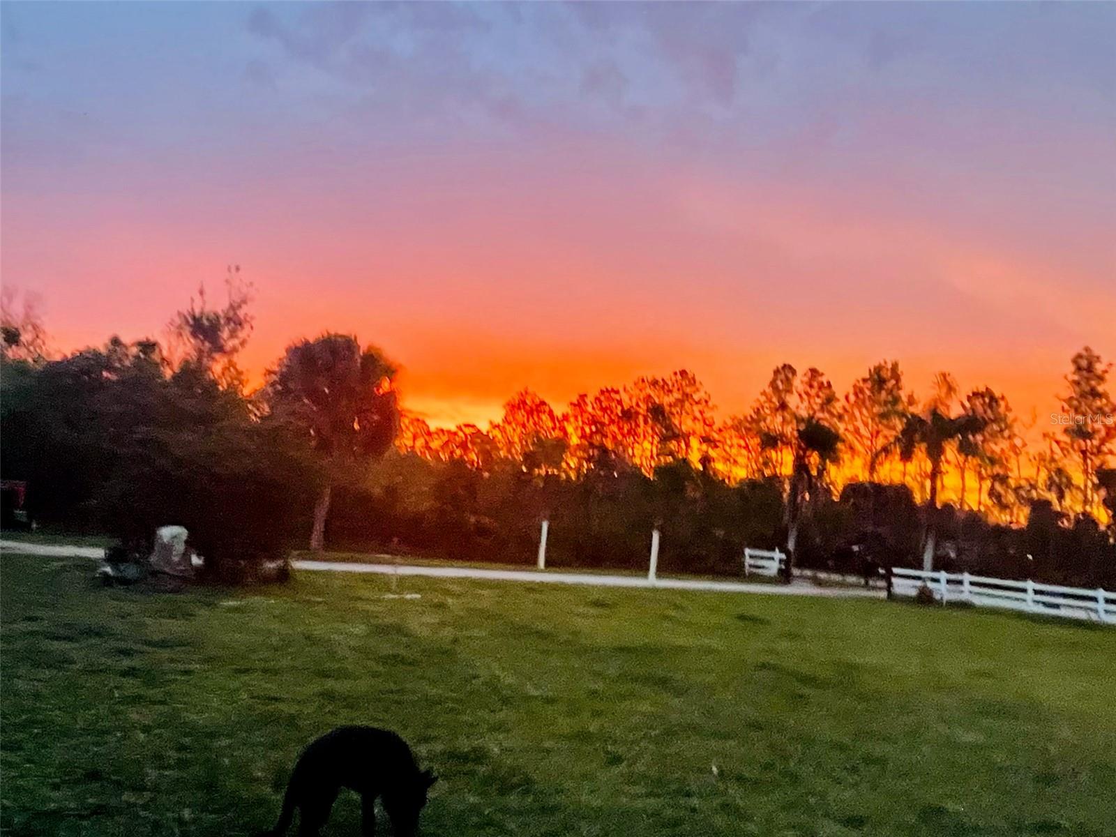 Image 15 of 19 For 3551 Red Barn Lane