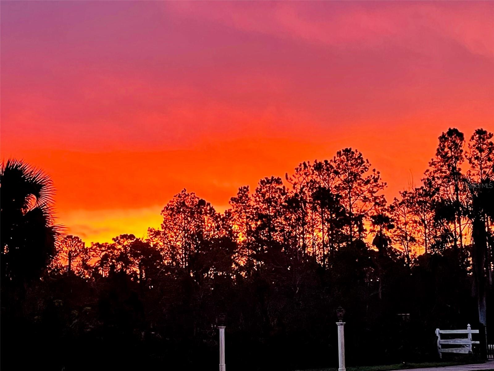 Image 18 of 19 For 3551 Red Barn Lane