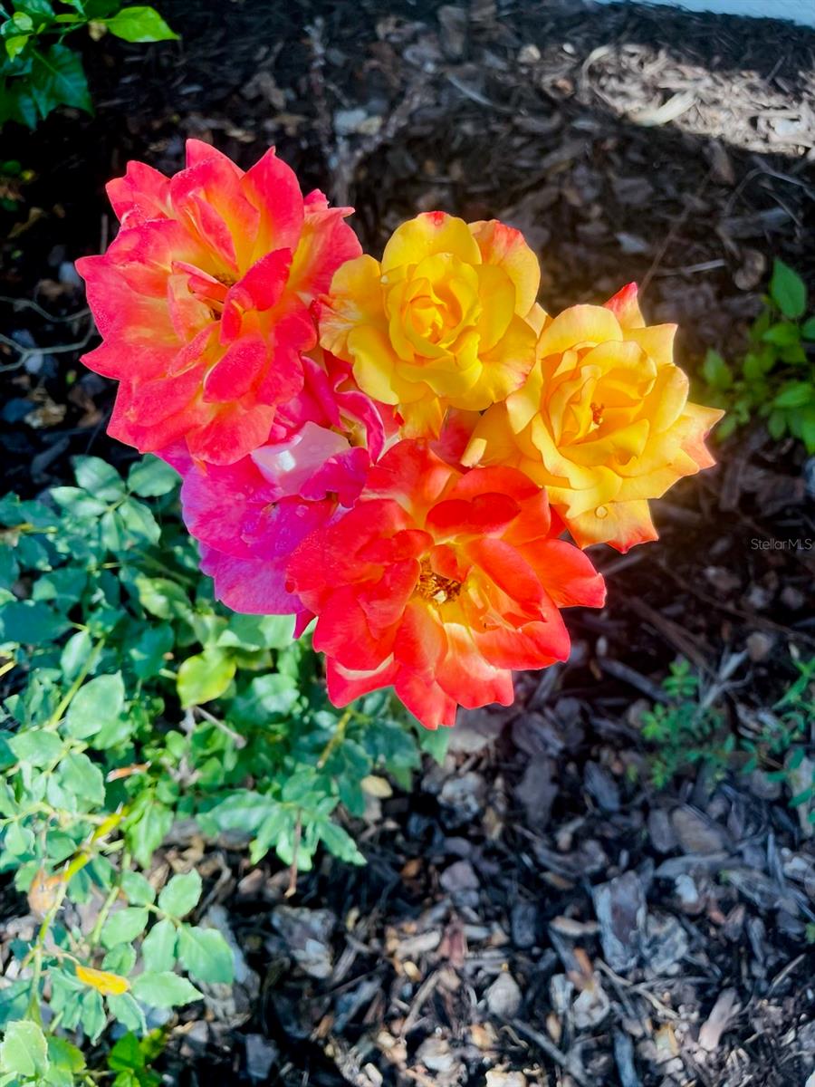 Image 19 of 19 For 3551 Red Barn Lane