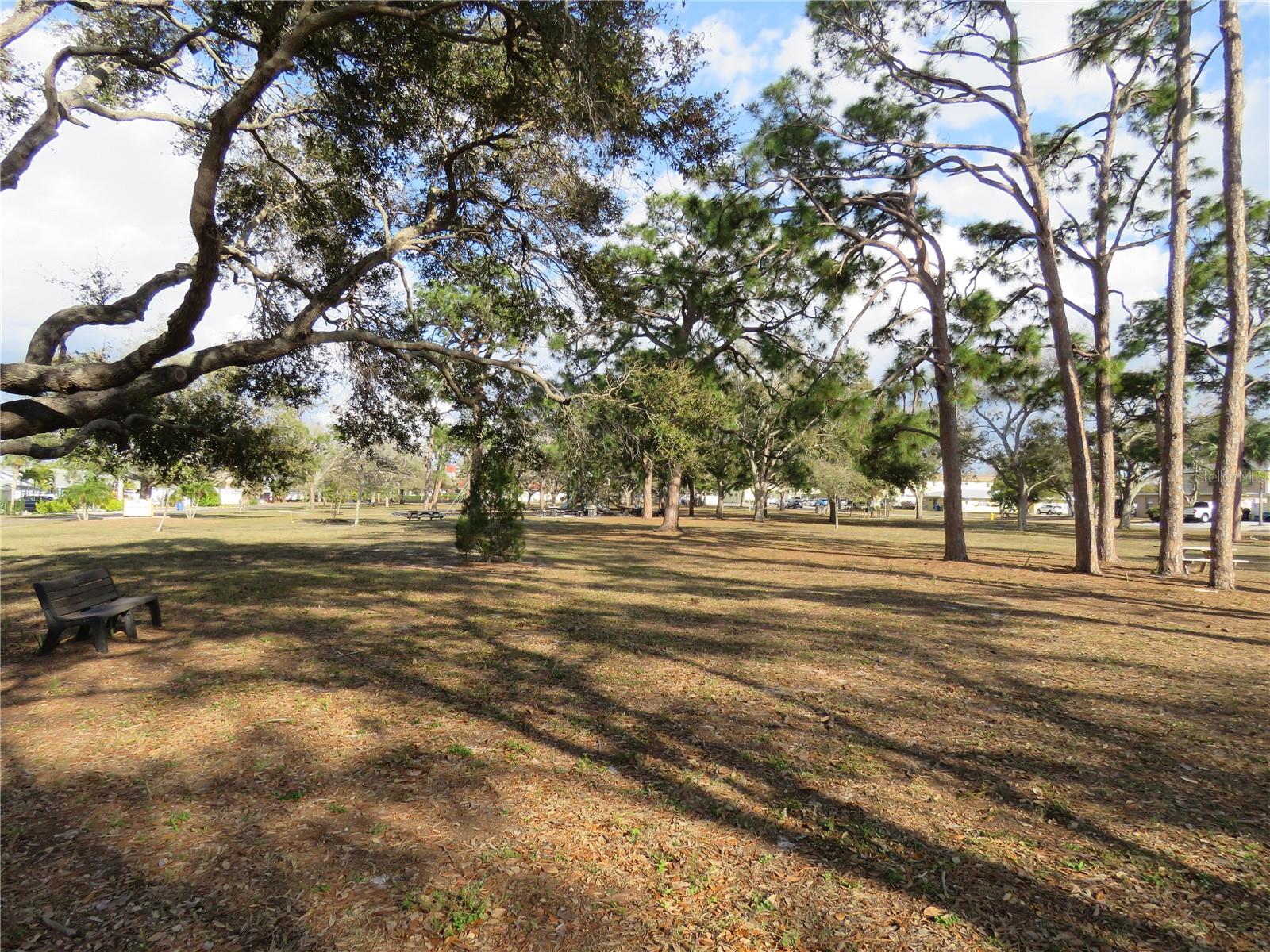 Image 44 of 67 For 418 Narvaezi Street