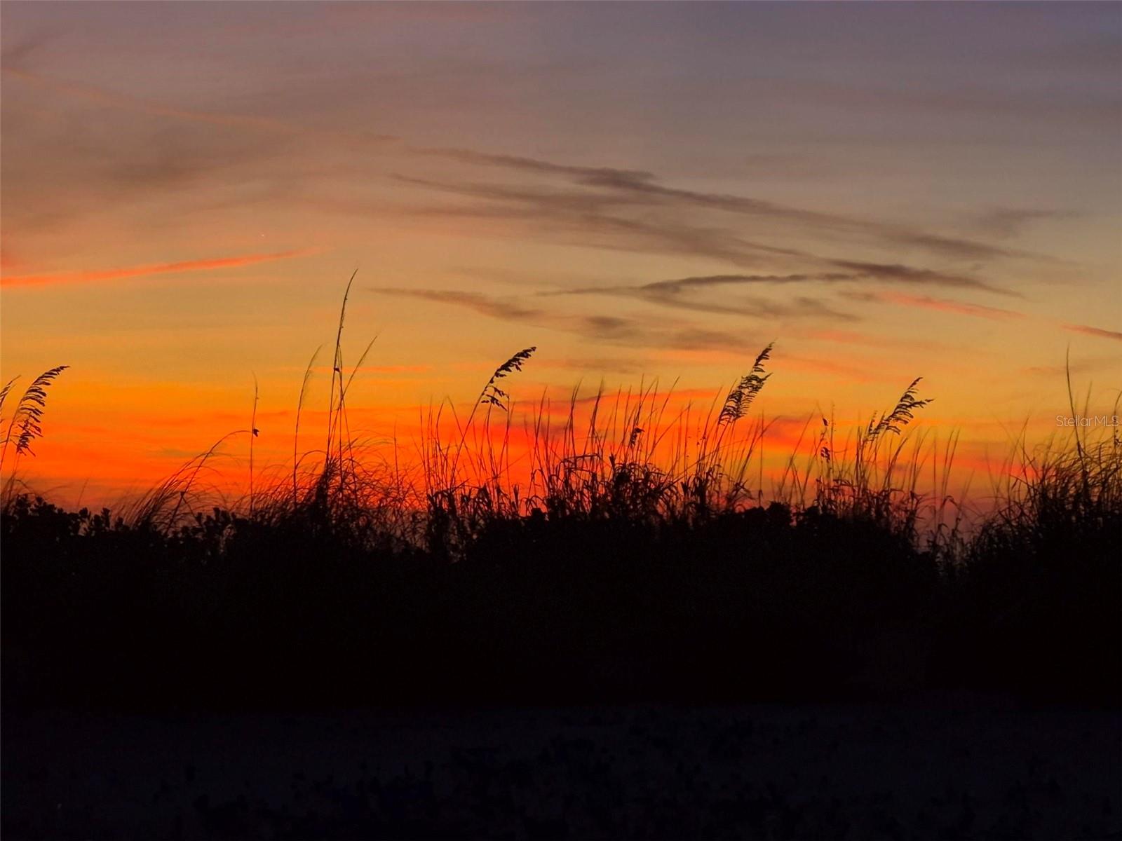 Image 54 of 67 For 418 Narvaezi Street