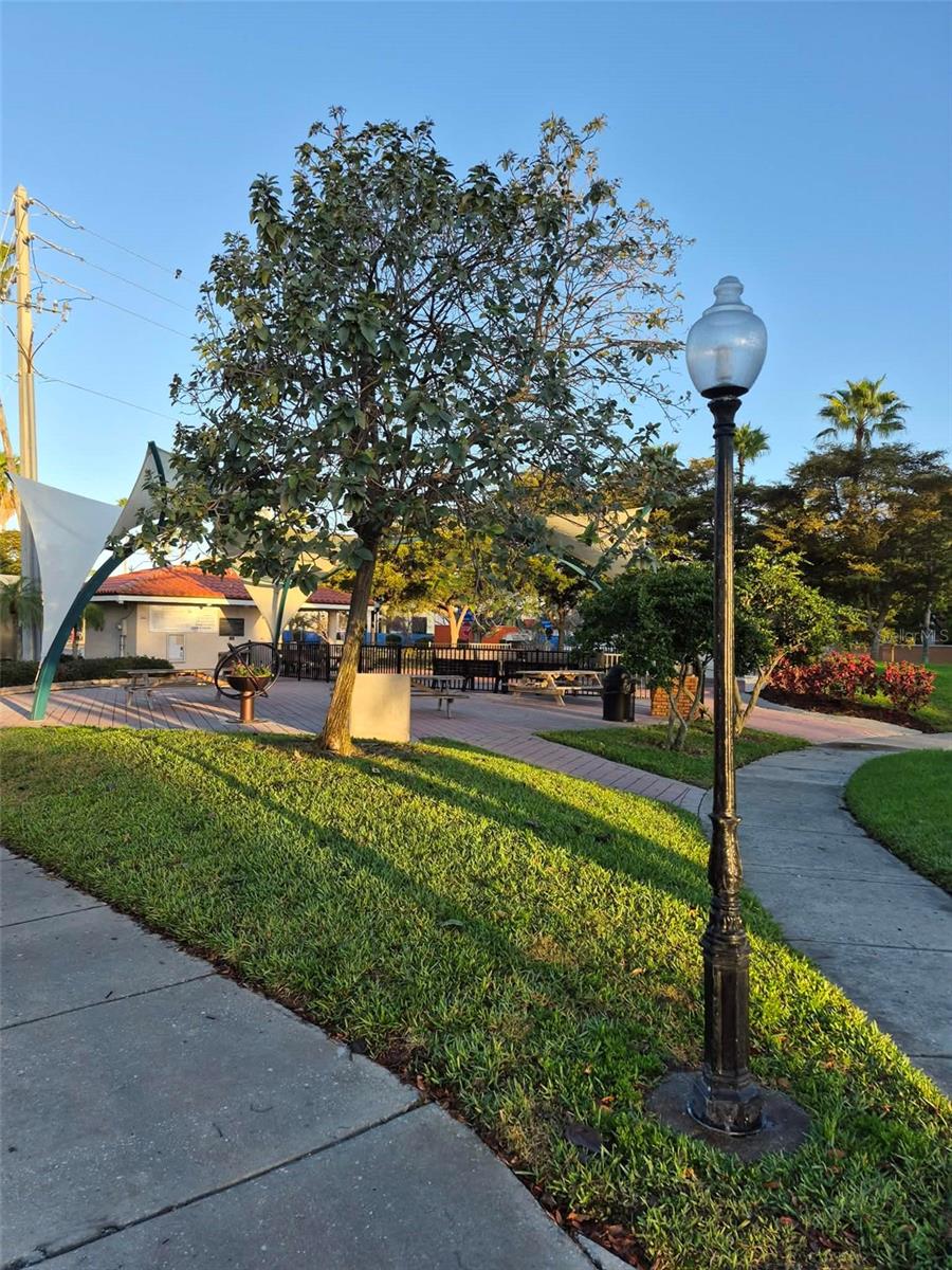 Image 59 of 67 For 418 Narvaezi Street