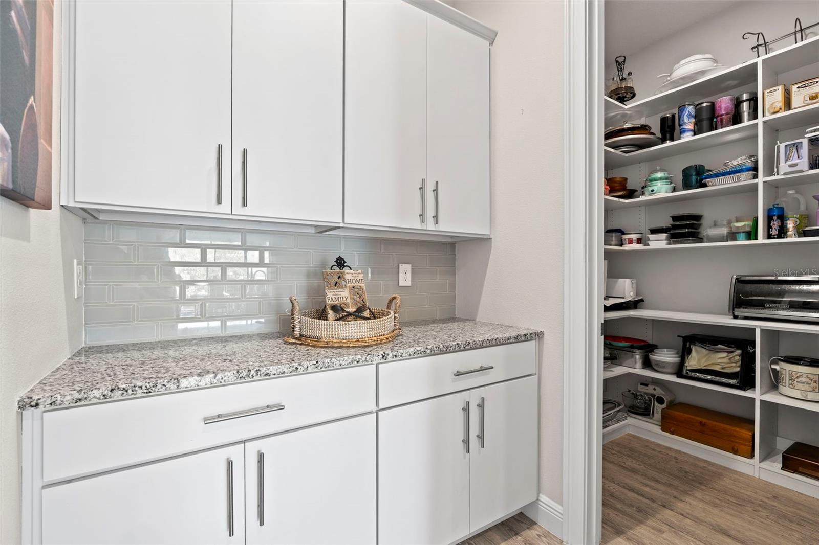 Image 33 of 98 For 31865 Tortuga Shore Loop