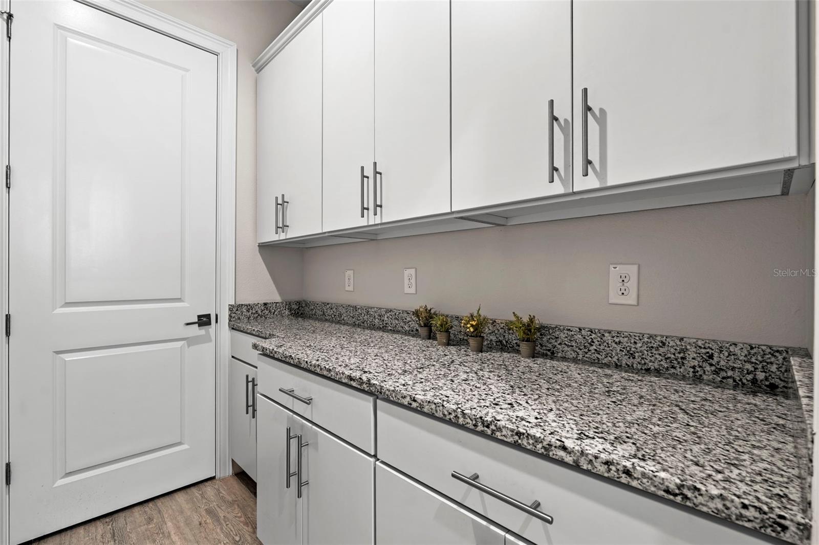 Image 63 of 98 For 31865 Tortuga Shore Loop