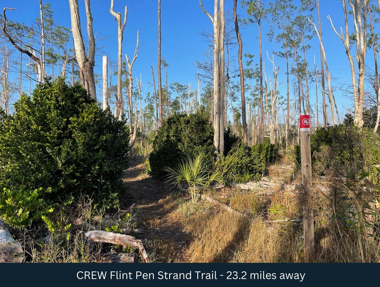 Image 12 of 31 For 72nd Avenue Ne