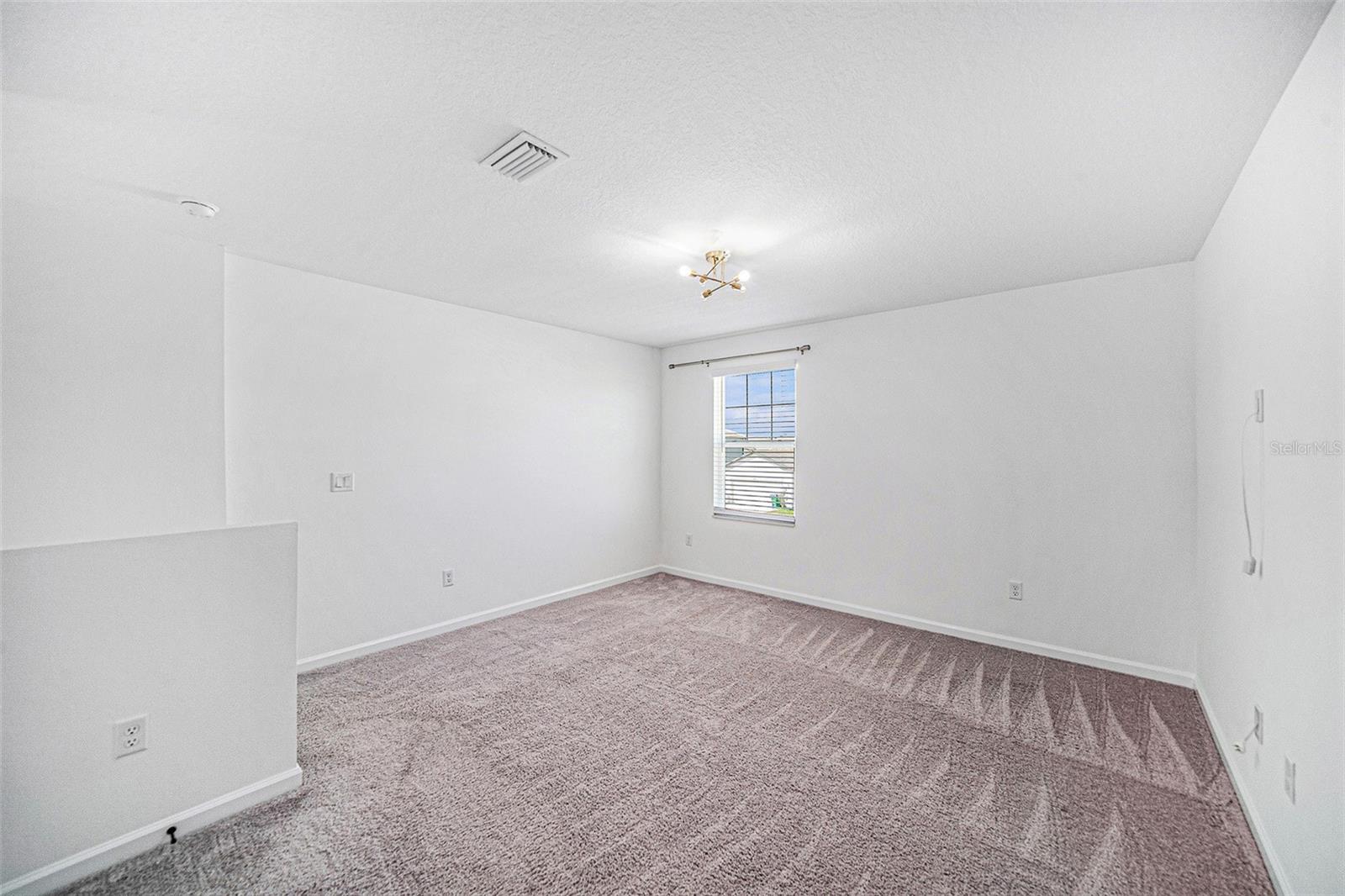 Image 10 of 30 For 35542 Buttonweed