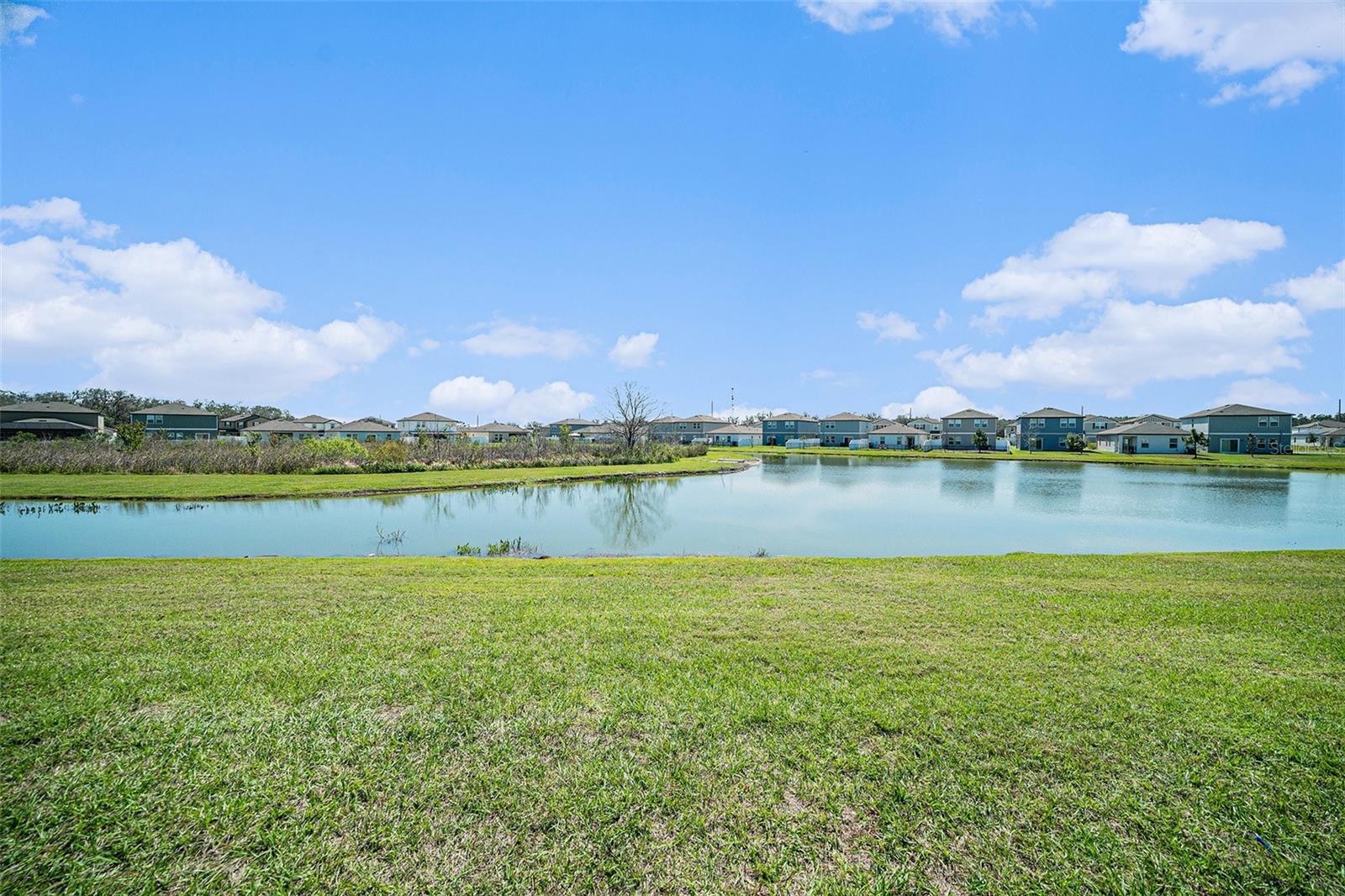 Image 15 of 30 For 35542 Buttonweed