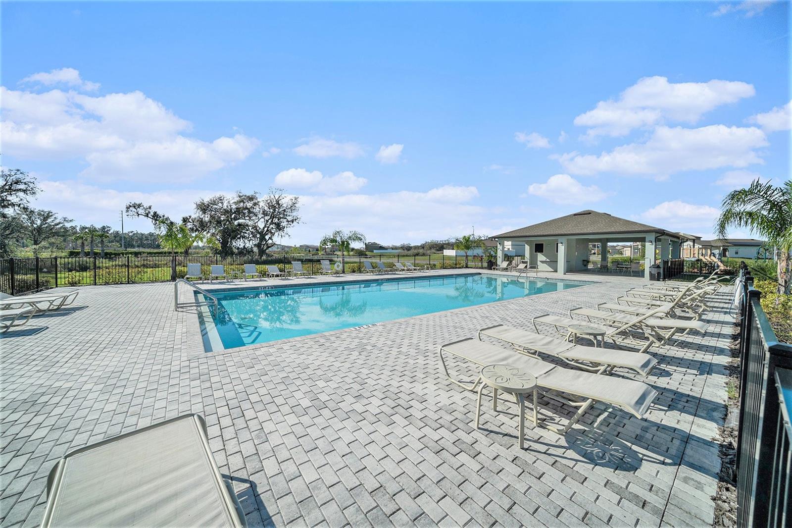 Image 22 of 30 For 35542 Buttonweed