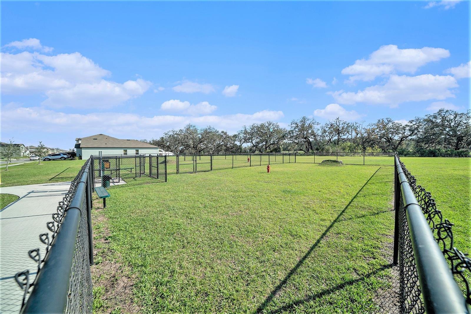 Image 23 of 30 For 35542 Buttonweed