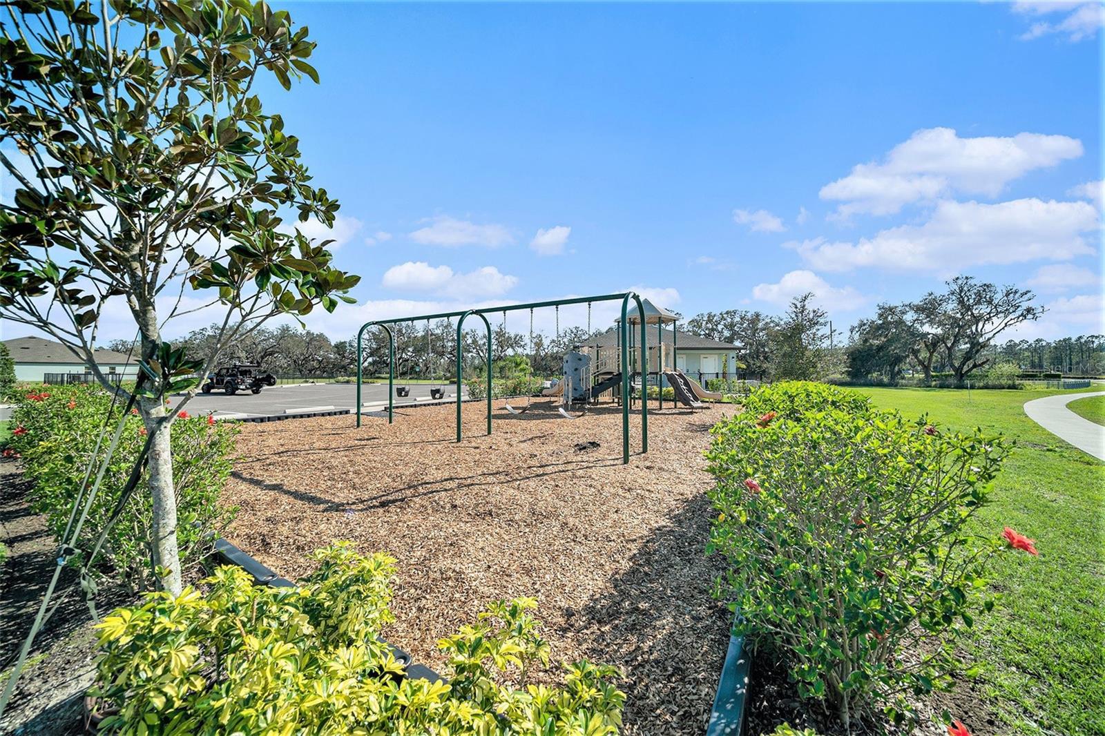 Image 24 of 30 For 35542 Buttonweed