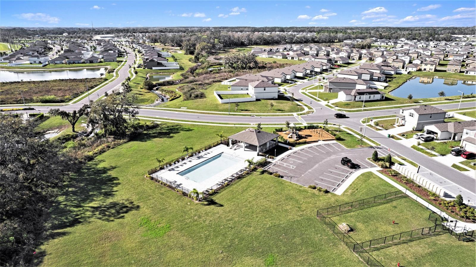 Image 29 of 30 For 35542 Buttonweed