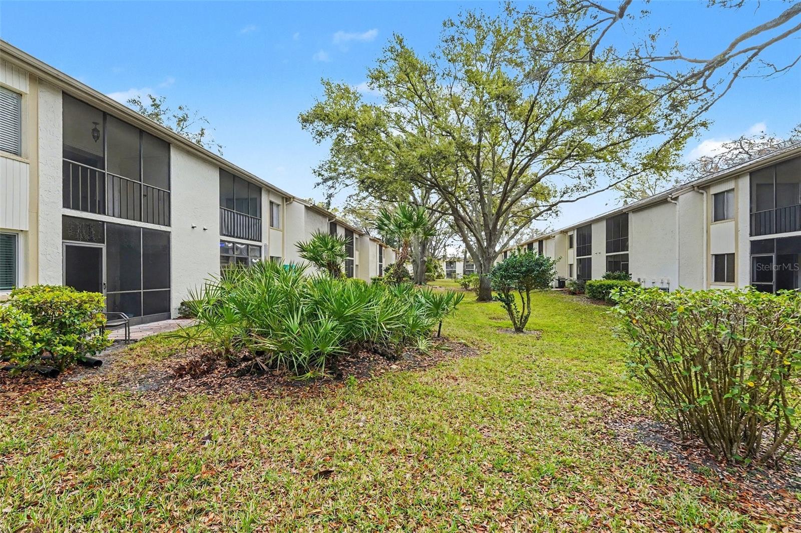 Image 32 of 38 For 106 Pine Court 346