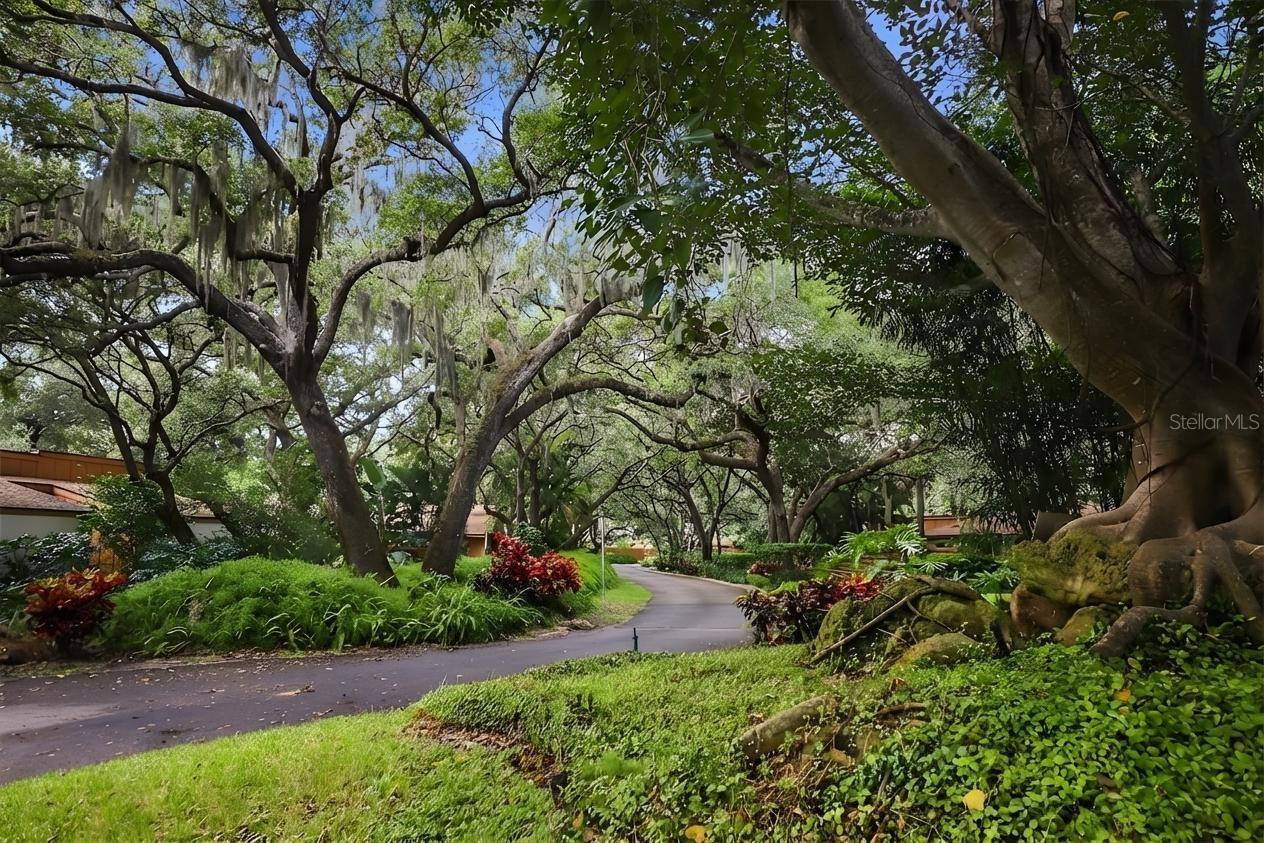 Image 47 of 55 For 2411 Pheasant Ln