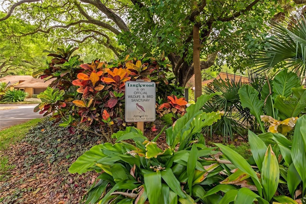 Image 48 of 55 For 2411 Pheasant Ln