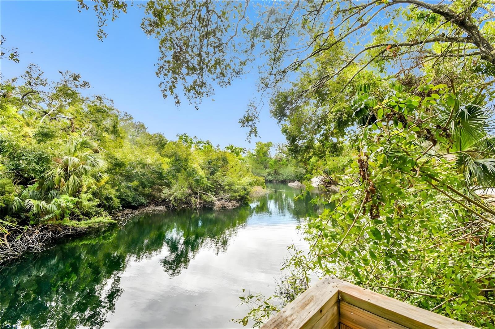 Image 50 of 55 For 2411 Pheasant Ln