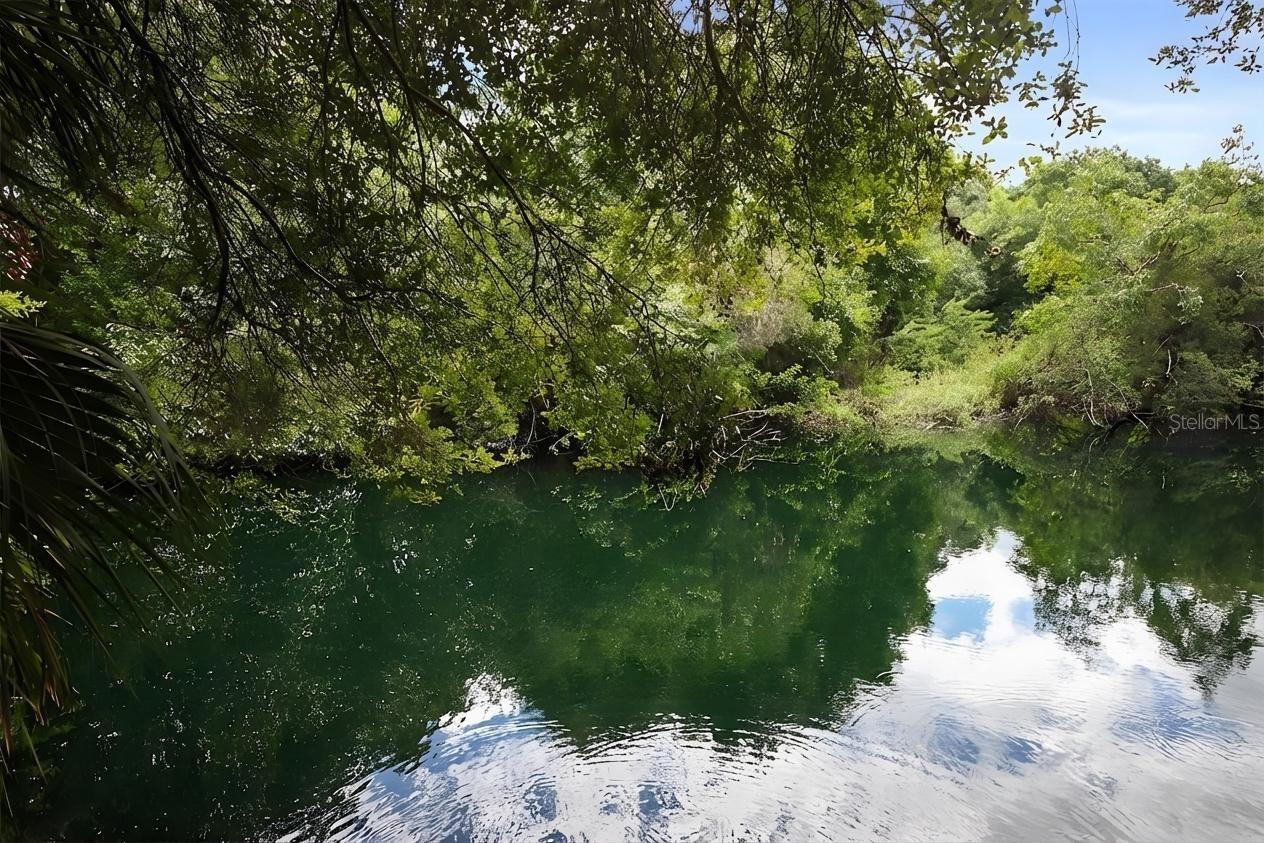 Image 51 of 55 For 2411 Pheasant Ln