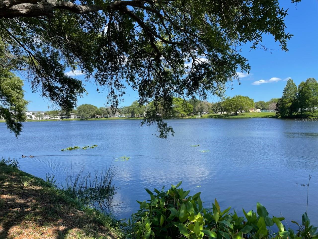 Image 12 of 22 For 1601 11 Street N