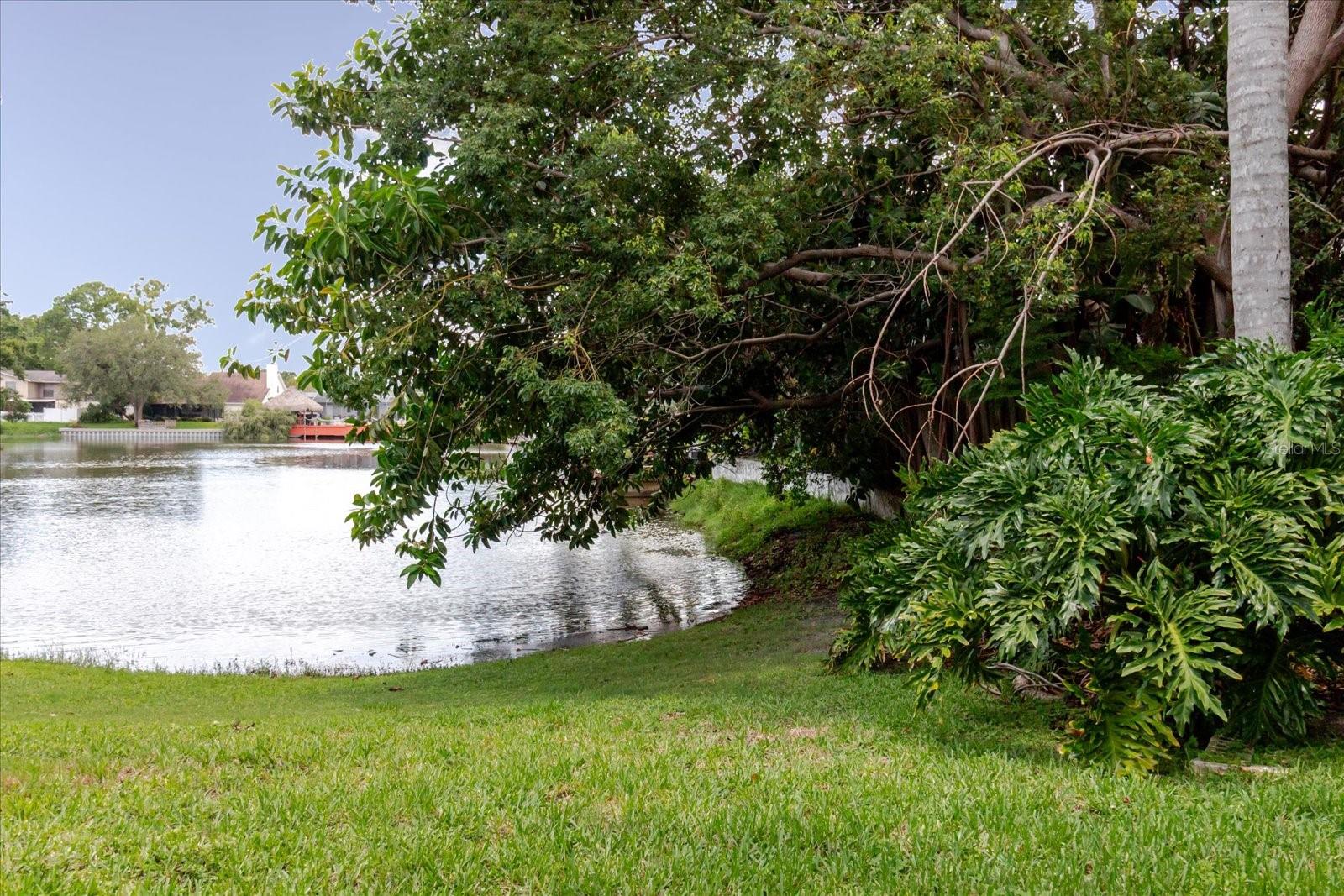 Image 82 of 91 For 8222 La Serena Drive