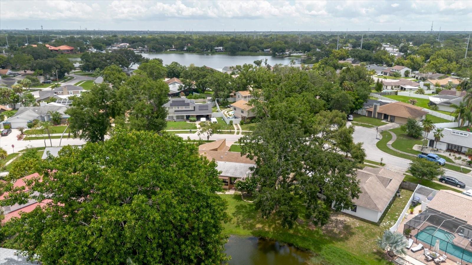 Image 86 of 91 For 8222 La Serena Drive