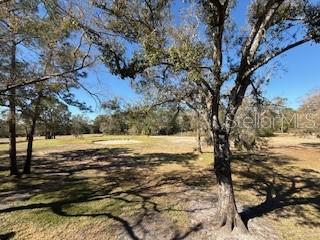 Image 22 of 25 For 3505 Tarpon Woods Boulevard J408