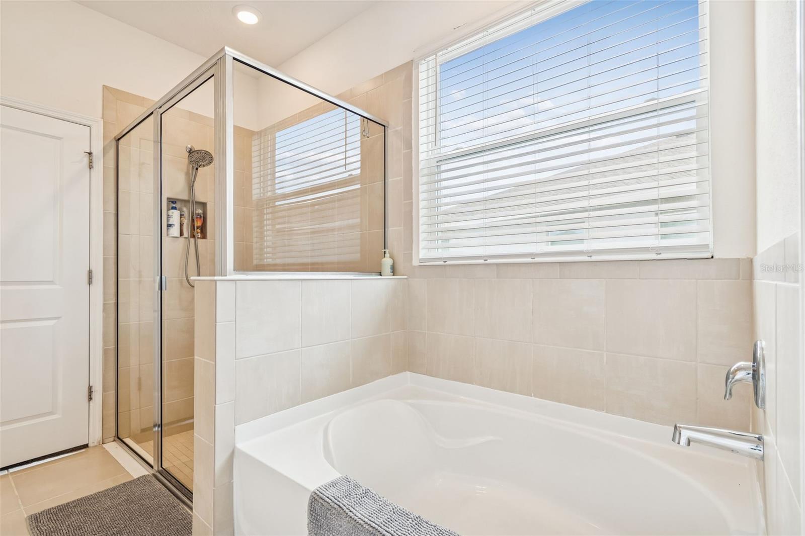 Image 39 of 81 For 13470 Golden Lime Avenue