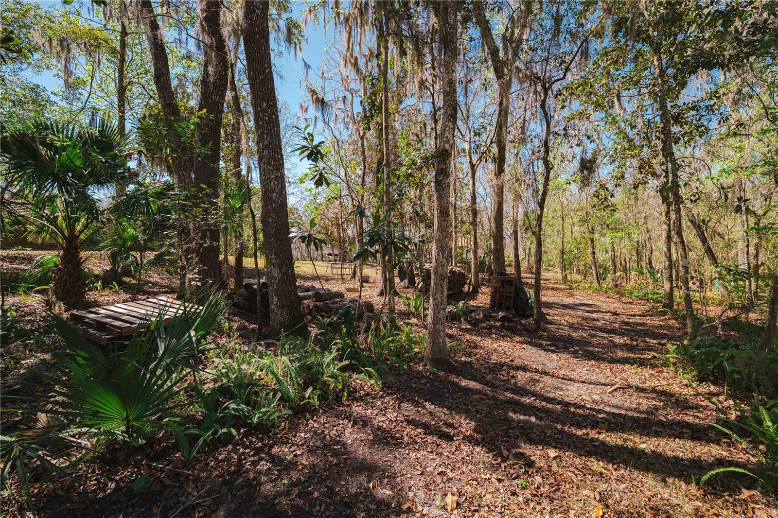 Image 46 of 92 For 16039 Bullis Drive