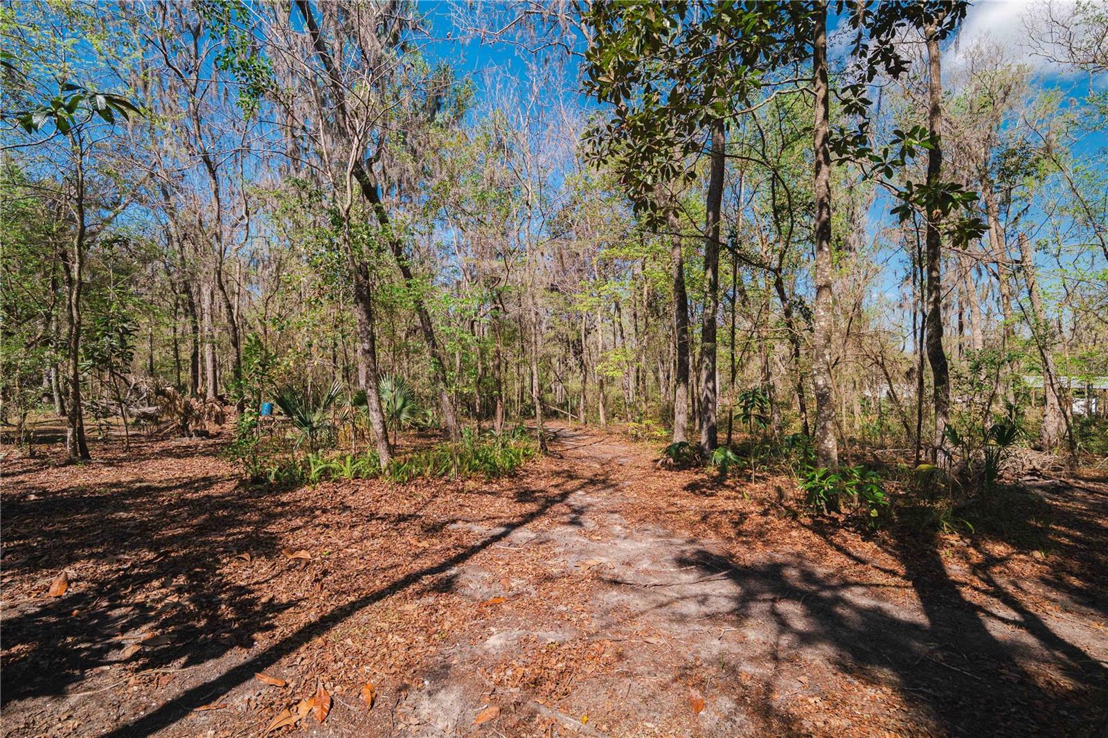 Image 48 of 92 For 16039 Bullis Drive