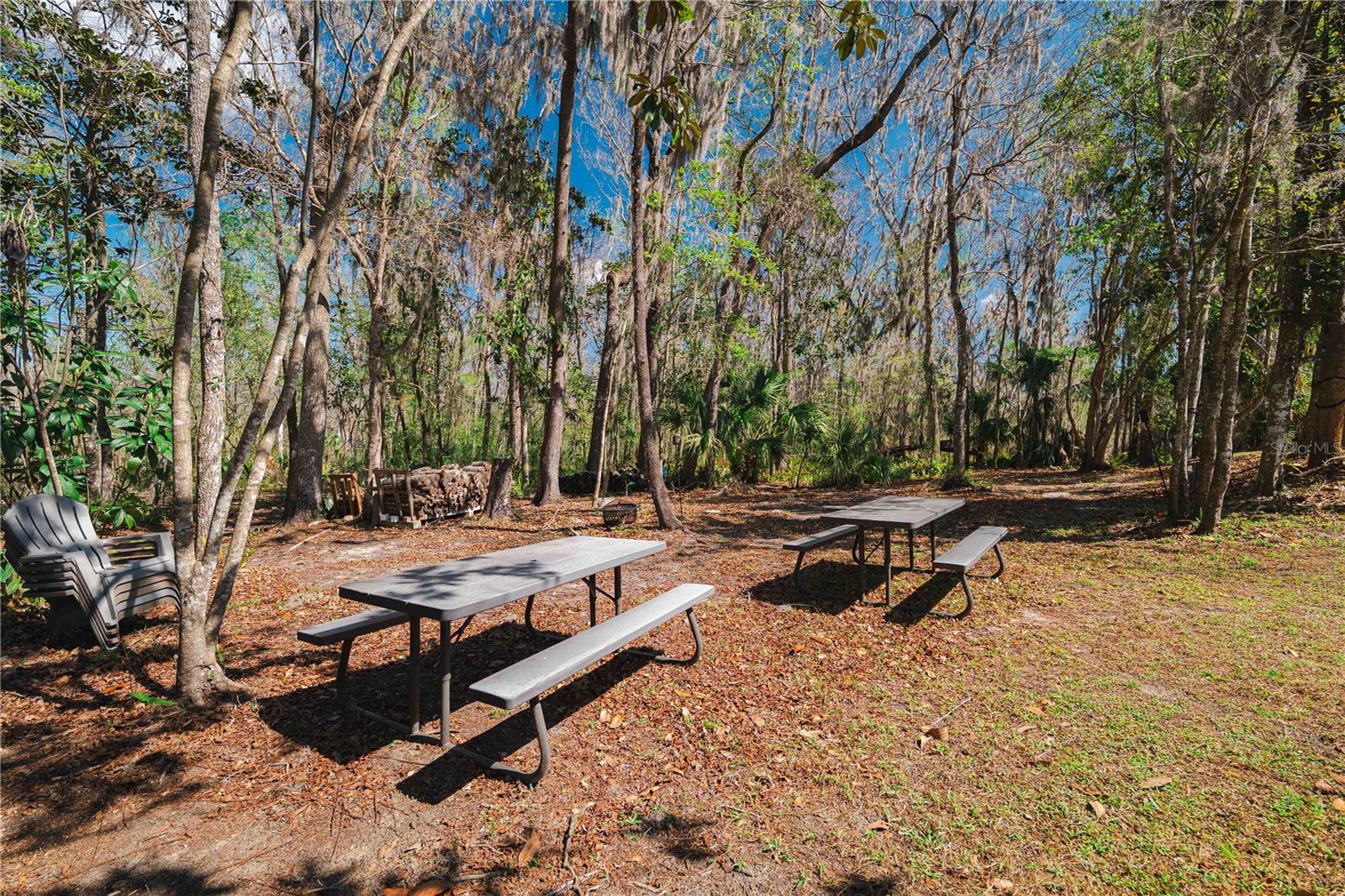 Image 50 of 92 For 16039 Bullis Drive