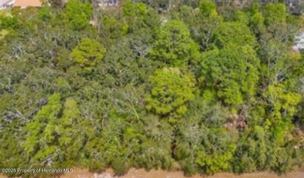 Listing Details for 3366 Annapolis Avenue, HERNANDO, FL 34442