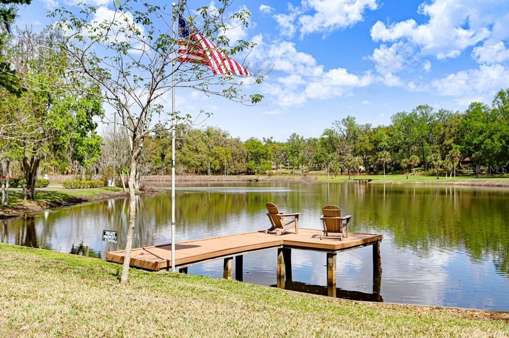 Image 77 of 82 For 36805 Waterfall Drive