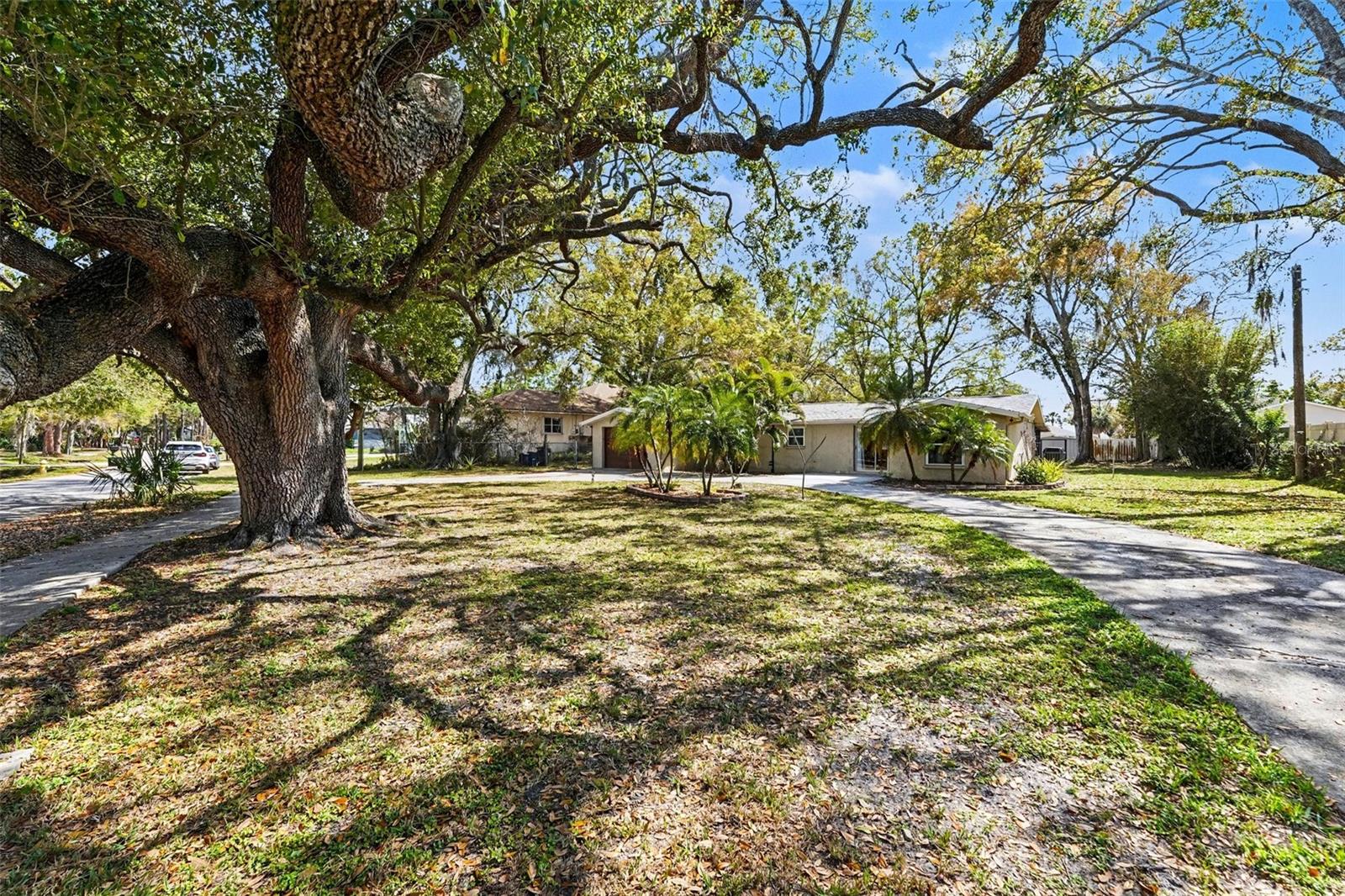 Image 8 of 32 For 202 Arlington Avenue E