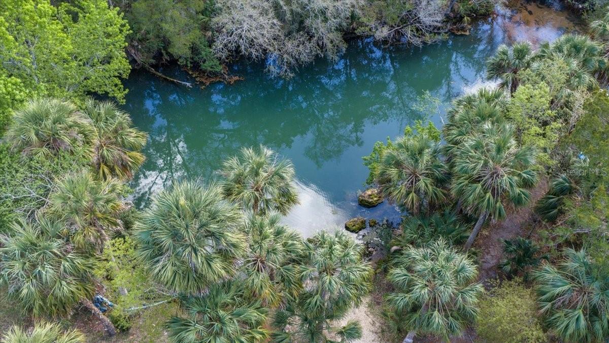 Image 65 of 70 For 6093 Avenue Of The Palms