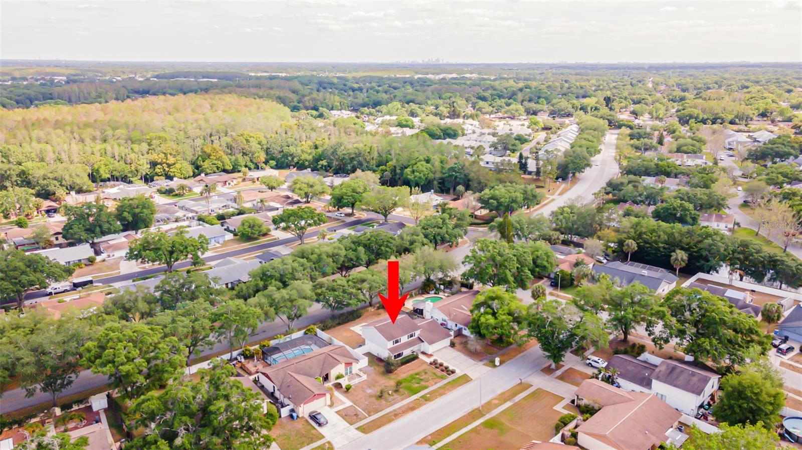 Image 59 of 59 For 16203 Fantasia Drive