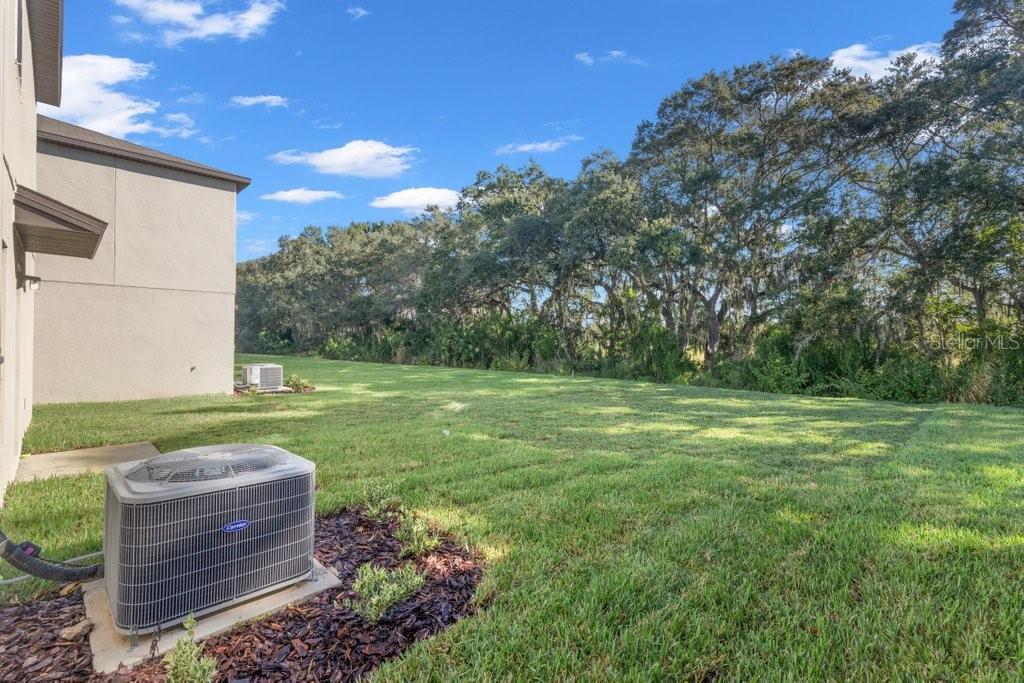 Image 25 of 25 For 5245 White Chicory Drive