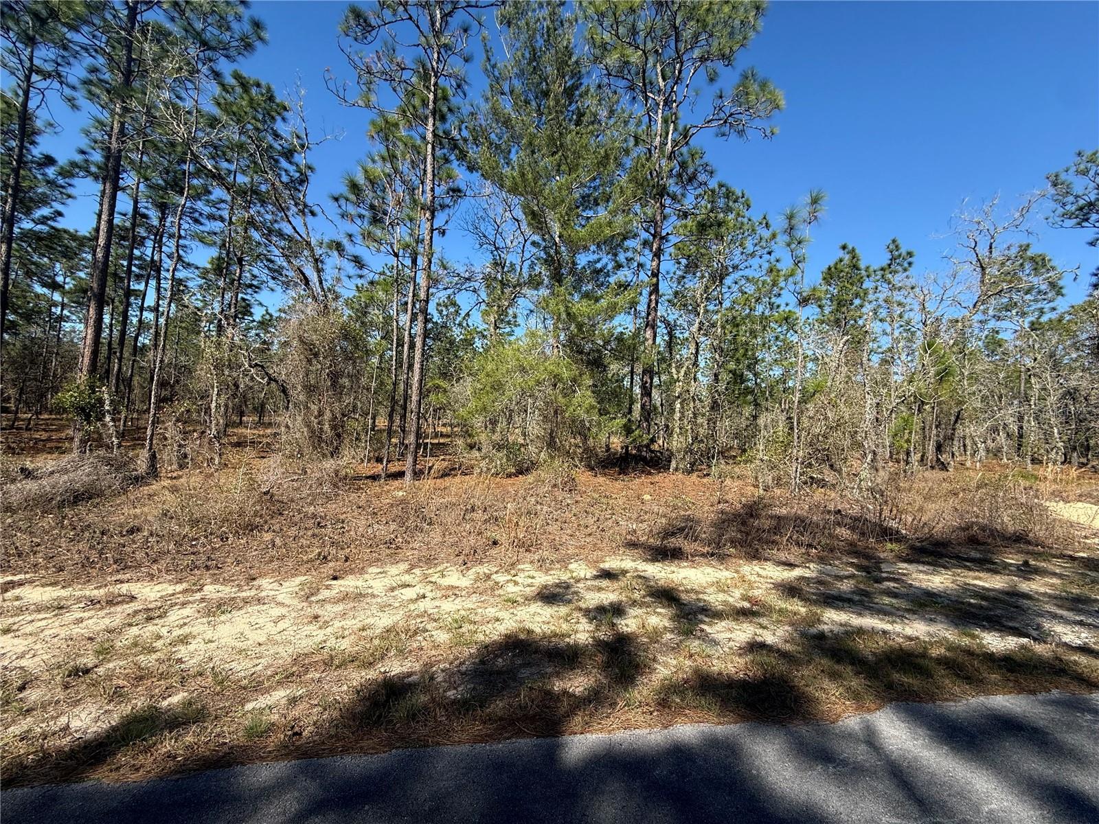Details for Lot 5 130 Court, DUNNELLON, FL 34431